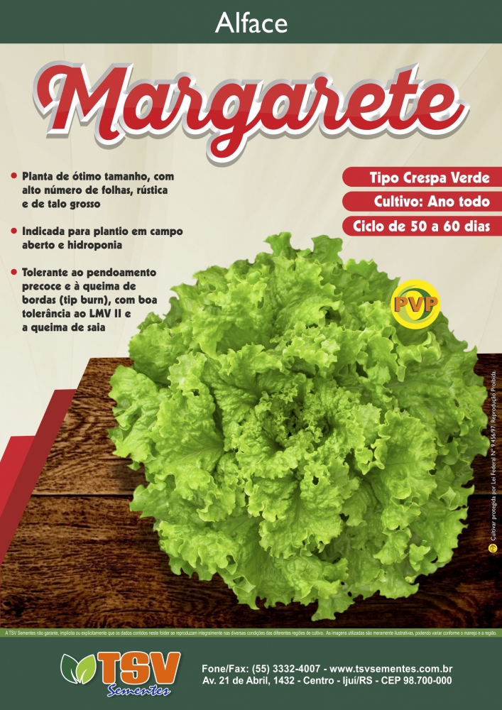 Alface Margarete